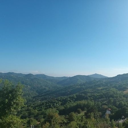 Appartamento La Pineta It010-058C20-Tj54093 Serra Rocco 외부 사진